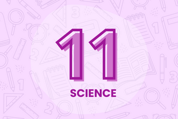11th Science